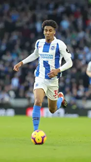 Brighton and Hove Albion vs. Everton: A Premier League Clash at American Express Community Stadium (29DEC18)