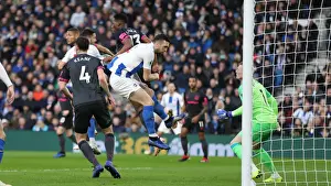 Brighton and Hove Albion vs. Everton: A Premier League Clash at American Express Community Stadium (29DEC18)