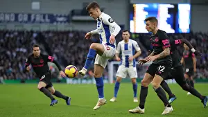 Brighton and Hove Albion vs. Everton: A Premier League Clash at American Express Community Stadium (29DEC18)