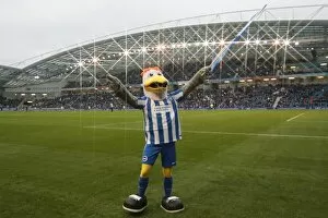 Images Dated 26th November 2016: Brighton and Hove Albion vs. Fulham: A Fierce EFL Sky Bet Championship Clash at American Express