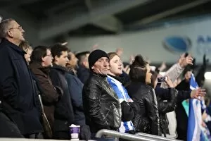 Images Dated 26th November 2016: Brighton and Hove Albion vs. Fulham: A Championship Showdown at American Express Community Stadium