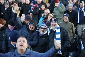 Images Dated 2nd January 2017: Brighton and Hove Albion vs. Fulham: EFL Sky Bet Championship Showdown at Craven Cottage (02.01.17)