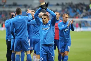 Brighton and Hove Albion vs. Fulham: A Championship Battle at American Express Community Stadium (26NOV16)