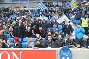 Brighton and Hove Albion vs. Fulham: A Championship Battle at American Express Community Stadium (26NOV16)