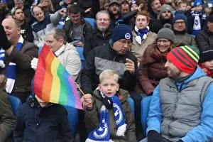 Brighton and Hove Albion vs. Fulham: A Championship Battle at American Express Community Stadium (26NOV16)