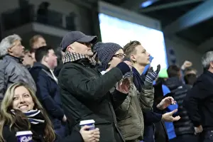 Brighton and Hove Albion vs. Fulham: A Championship Showdown (26NOV16)