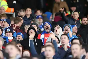 Brighton and Hove Albion vs. Fulham: EFL Sky Bet Championship Showdown at Craven Cottage (02.01.17)