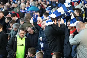 Brighton and Hove Albion vs. Fulham: EFL Sky Bet Championship Showdown at Craven Cottage (02.01.17)