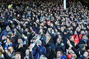 Brighton and Hove Albion vs. Fulham: EFL Sky Bet Championship Showdown at Craven Cottage (02.01.17)