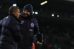 Brighton and Hove Albion vs. Fulham: EFL Sky Bet Championship Showdown at Craven Cottage (02.01.17)