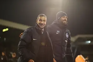 Brighton and Hove Albion vs. Fulham: EFL Sky Bet Championship Showdown at Craven Cottage (02.01.17)