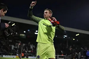 Brighton and Hove Albion vs. Fulham: EFL Sky Bet Championship Showdown at Craven Cottage (02.01.17)