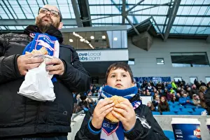 Brighton and Hove Albion vs Fulham: Fan Experience at the American Express Community Stadium (15th April 2016)