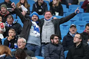 Brighton and Hove Albion vs. Fulham: A Fight in the EFL Sky Bet Championship (November 2016)