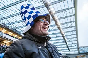 Brighton and Hove Albion vs Fulham: A Passionate Albion Fan Amidst the Sky Bet Championship Action (15APR16)