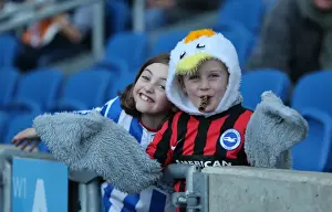 Fulham 29NOV14 Prints: Brighton and Hove Albion vs Fulham: Passionate Fan Moment at American Express Community Stadium (29NOV14)