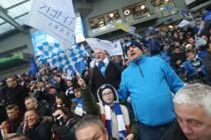 Brighton and Hove Albion vs. Fulham: A Tight Battle in the EFL Sky Bet Championship (November 2016)