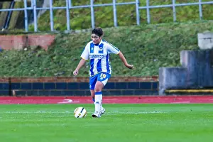 Gillingham Prints: Brighton & Hove Albion vs Gillingham: 2013-14 Women's Football Match