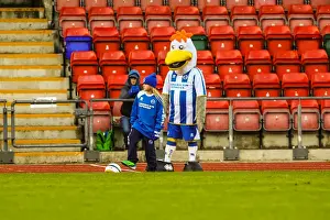 Gillingham Prints: Brighton & Hove Albion vs. Gillingham: 2013-14 Women's Football Match