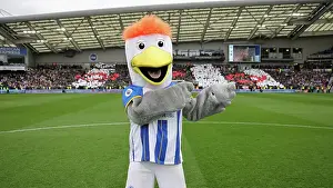 Brighton & Hove Albion vs. Grimsby Town: FA Cup Quarter-Final Showdown (2022/23)
