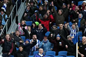 Huddersfield Town - 02-03-2013 Prints: Brighton & Hove Albion vs. Huddersfield Town (02-03-2013) - A Glimpse into the 2012-13 Home Season