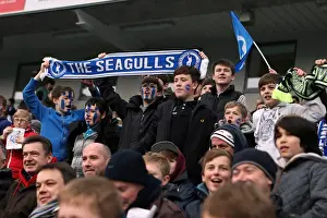 Brighton & Hove Albion vs. Huddersfield Town (02-03-2013): A Glimpse into the 2012-13 Home Season