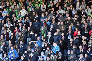 Brighton & Hove Albion vs. Huddersfield Town: 2012-13 Away Game