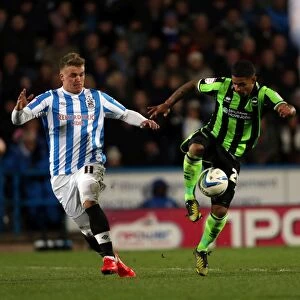 Images Dated 17th November 2012: Brighton & Hove Albion vs. Huddersfield Town (Away Game - 17-11-2012, 2012-13 Season)
