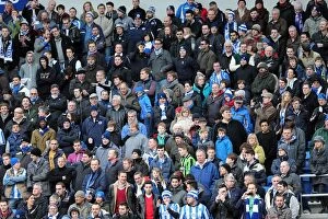 Images Dated 2nd March 2013: Brighton & Hove Albion vs. Huddersfield Town (02-03-2013): A Look Back at the 2012-13 Home Season