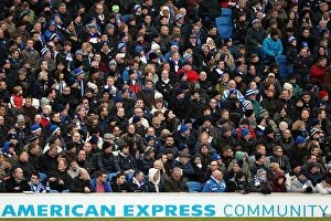 Images Dated 2nd March 2013: Brighton & Hove Albion vs. Huddersfield Town (02-03-2013): A Look Back at the 2012-13 Home Season