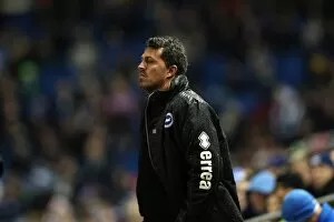 Images Dated 21st December 2013: Brighton & Hove Albion vs. Huddersfield Town: Home Game (December 21, 2013)