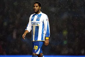 Brighton & Hove Albion vs. Huddersfield Town: Home Game - 21-12-2013 (Season 2013-14)
