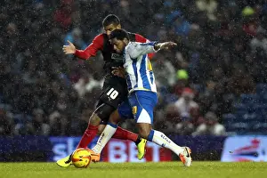 Huddersfield Town - 21-12-2013 Prints: Brighton & Hove Albion vs. Huddersfield Town: Home Game