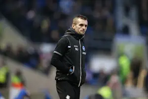 Huddersfield Town - 21-12-2013 Prints: Brighton & Hove Albion vs. Huddersfield Town: Home Game, 2013-14 Season (21-12-2013)