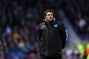 Huddersfield Town - 21-12-2013 Prints: Brighton & Hove Albion vs. Huddersfield Town: Home Game