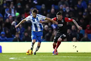 Huddersfield Town - 21-12-2013 Prints: Brighton & Hove Albion vs. Huddersfield Town: Home Game, 21-12-2013 (Season 2013-14)
