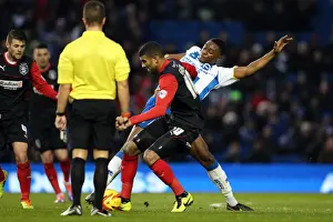 Huddersfield Town - 21-12-2013 Prints: Brighton & Hove Albion vs. Huddersfield Town: Home Game, 2013-14 Season (21-12-2013)