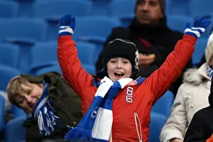 Brighton & Hove Albion vs. Huddersfield Town: Home Game - December 21, 2013