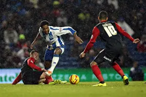 Huddersfield Town - 21-12-2013 Prints: Brighton & Hove Albion vs. Huddersfield Town: Home Game - December 21