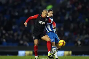 Brighton & Hove Albion vs. Huddersfield Town: Home Game - December 21, 2013 (Season 2013-14)