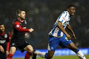 Brighton & Hove Albion vs. Huddersfield Town: Home Game - December 21, 2013