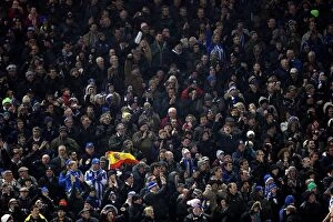 Images Dated 9th February 2013: Brighton & Hove Albion vs. Hull City (09-02-2013) - A Glance at the 2012-13 Home Season