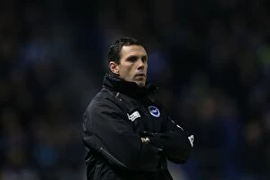 Images Dated 9th February 2013: Brighton & Hove Albion vs. Hull City (09-02-2013): A Glance at Our 2012-13 Home Season