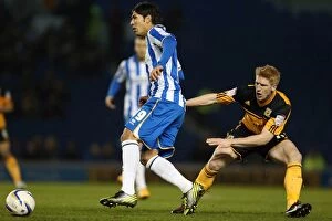 Images Dated 9th February 2013: Brighton & Hove Albion vs. Hull City (09-02-2013): A Glimpse into the 2012-13 Home Season