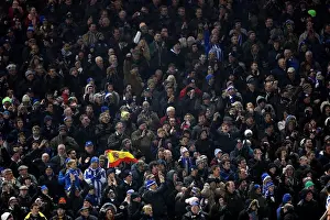 Hull City - 09-02-2013 Prints: Brighton & Hove Albion vs. Hull City (09-02-2013) - A Glance at the 2012-13 Home Season