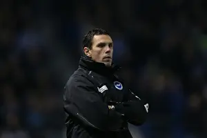Hull City - 09-02-2013 Prints: Brighton & Hove Albion vs. Hull City (09-02-2013): A Glance at Our 2012-13 Home Season