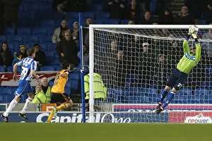 Hull City - 09-02-2013 Prints: Brighton & Hove Albion vs. Hull City (09-02-2013): A Look Back at the 2012-13 Home Season