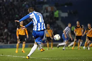 Hull City - 09-02-2013 Prints: Brighton & Hove Albion vs. Hull City (09-02-2013) - A Look Back at the 2012-13 Home Season: Hull City Game