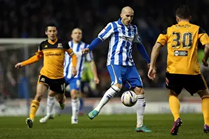 Hull City - 09-02-2013 Prints: Brighton & Hove Albion vs. Hull City (09-02-2013) - A Peek into the 2012-13 Home Season