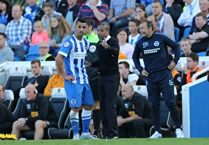 Brighton and Hove Albion vs Hull City: Sky Bet Championship Showdown at American Express Community Stadium (September 12, 2015)